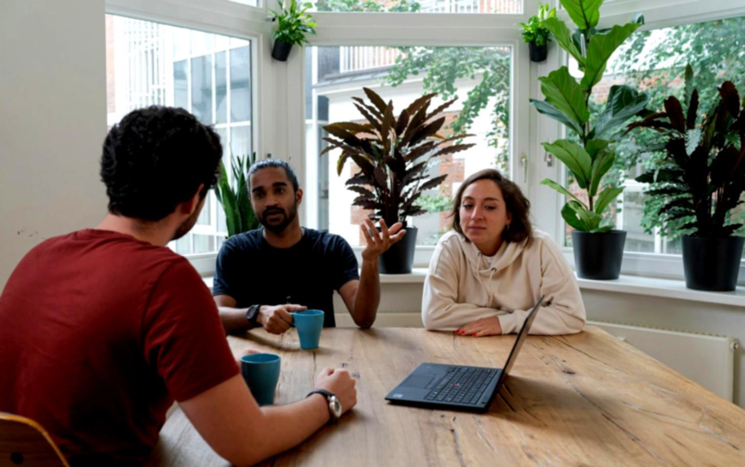 Атмосфера спільності у Hyltocron